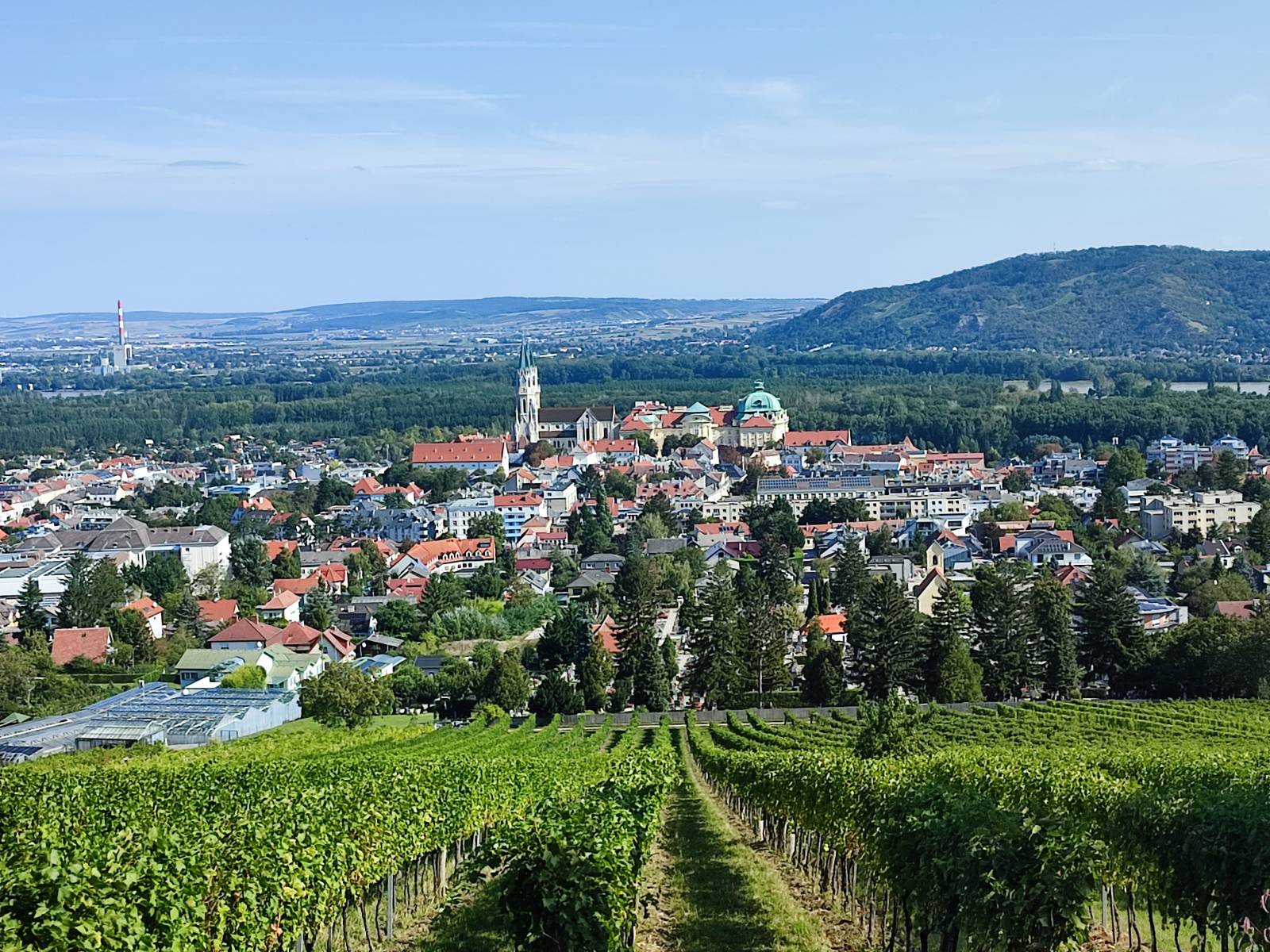 Wiesenpflege 2. & 4. Klassen
