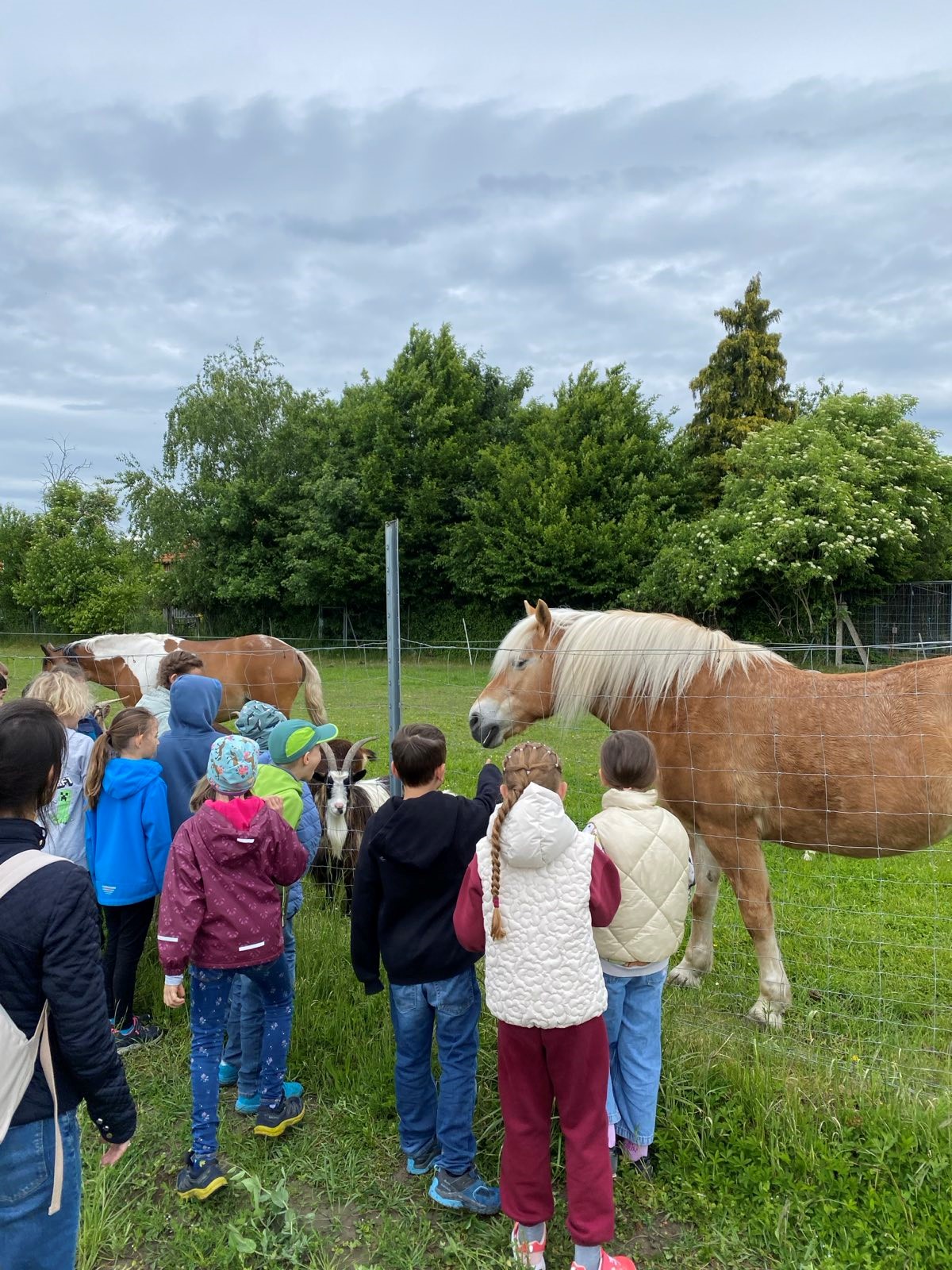 Besuch am Bauernhof